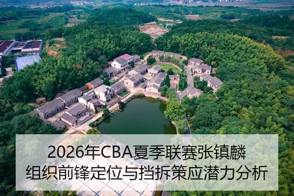 2026年CBA夏季联赛张镇麟组织前锋定位与挡拆策应潜力分析